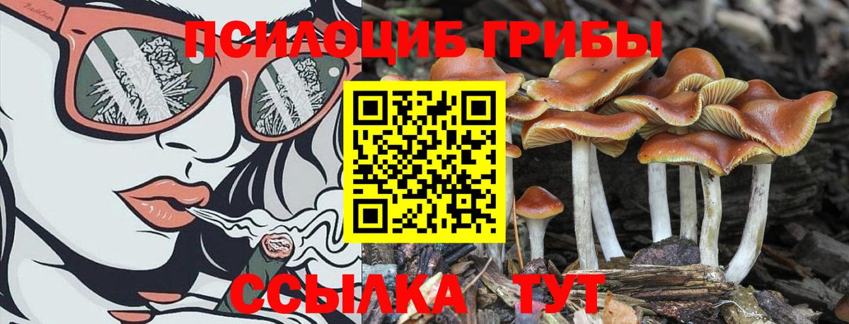 Псилоцибиновые грибы MAGIC MUSHROOMS  Галлюциногенные грибы MAGIC MUSHROOMS  Карабулак  Вход с VPN 
